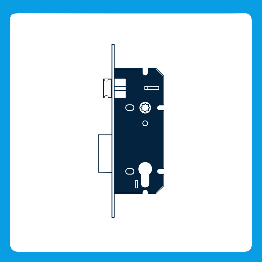 Lock Body & Cylinders